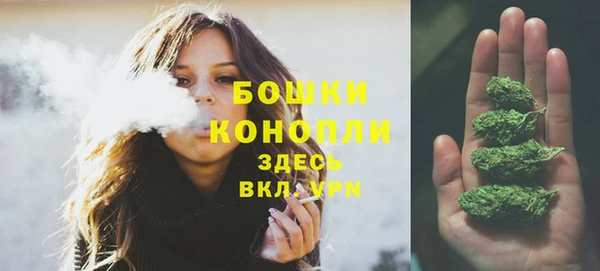 PSILOCYBIN Нея