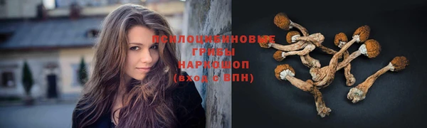 ешки Нефтекумск