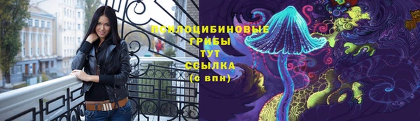 ешки Нефтекумск