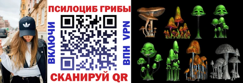 Галлюциногенные грибы мицелий  Купить закладки  Шуя 